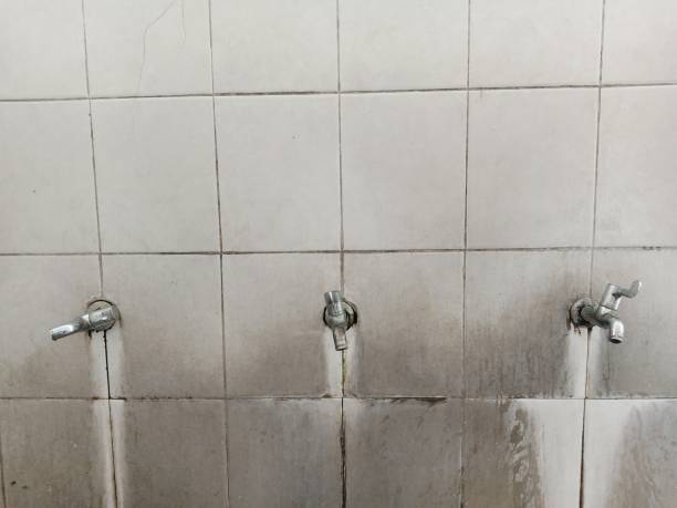 Best Mold removal after water damage  in Brush Prairie, WA